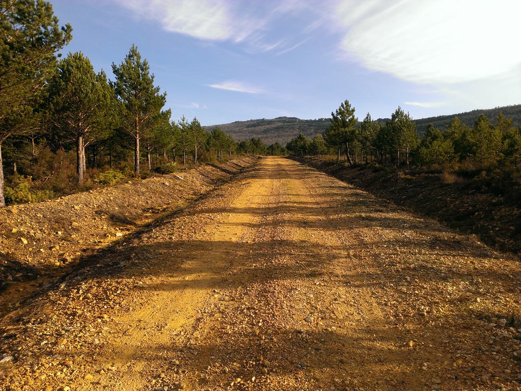 Camino seguido en la caminata